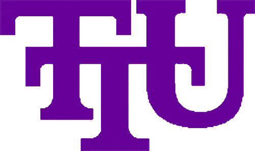 Tennessee Tech Golden Eagles 1997-2005 Primary Logo diy DTF decal sticker